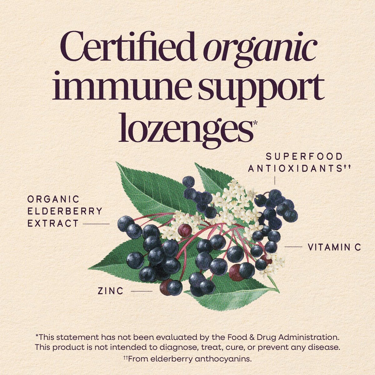 Nature's Way Sambucus Zink Lutschtabletten mit Holunder und Vitamin C, Honig-Zitrone-Geschmack, 24 Lutschtabletten
