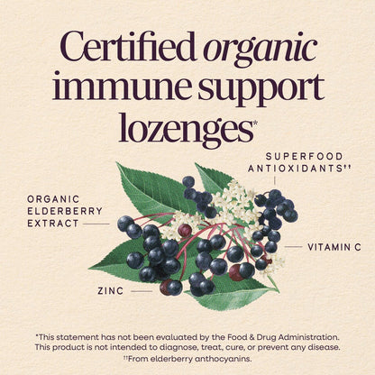 Nature's Way Sambucus Zink Lutschtabletten mit Holunder und Vitamin C, Honig-Zitrone-Geschmack, 24 Lutschtabletten