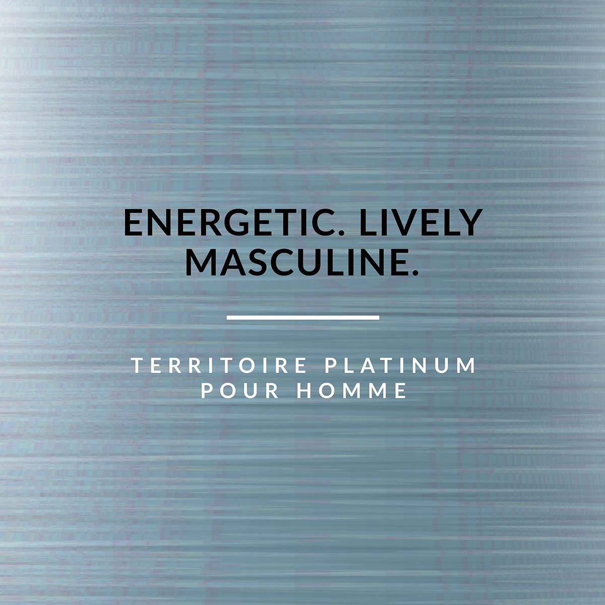 Territoire Eau de Parfum Platinum – Herrenparfüm, 100 ml
