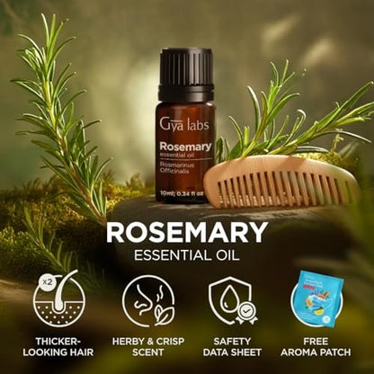 100% Reines Rosmarinöl - 0,34 Fl Oz - Rosmarinöl für Haare, Haut, Diffuser, Aromatherapie & DIY Kerzenherstellung Duft