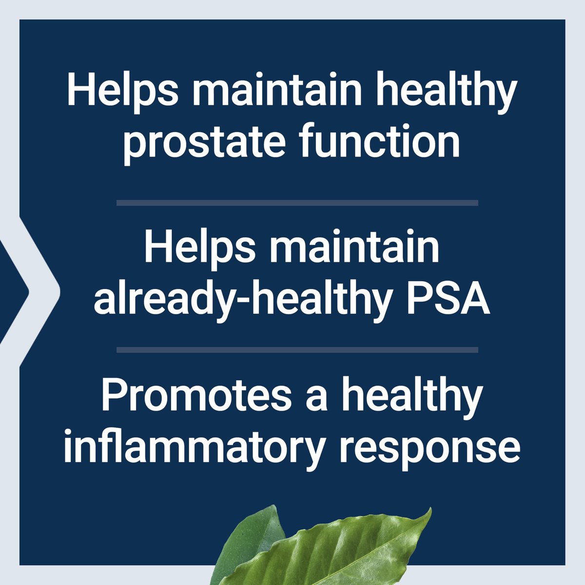 Life Extension Ultra Prostata-Formel – Sägepalme, Pygeum, Brennnesselwurzel, Lycopin für Prostata-Gesundheit, Harnfluss, PSA, Nicht-GVO, glutenfrei, 60 Softgels