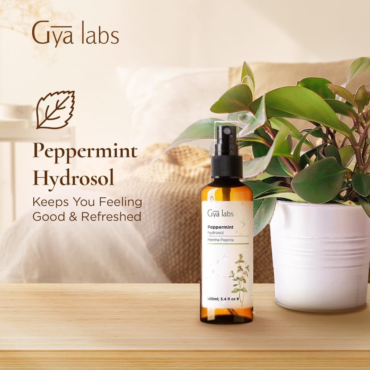 Gya Labs Pfefferminz-Hydrolat – 100 ml – Feuchtigkeitsspendendes Gesichts- und Körperspray als Gesichtswasser & Haarauffrischer – Auch als Kissen-, Raum- & Wäschespray für frischen Duft