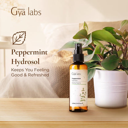 Gya Labs Pfefferminz-Hydrolat – 100 ml – Feuchtigkeitsspendendes Gesichts- und Körperspray als Gesichtswasser & Haarauffrischer – Auch als Kissen-, Raum- & Wäschespray für frischen Duft