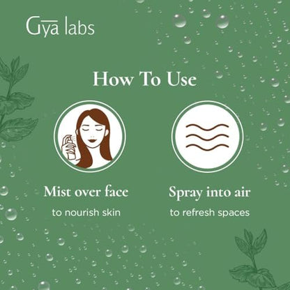 Gya Labs Pfefferminz-Hydrolat – 100 ml – Feuchtigkeitsspendendes Gesichts- und Körperspray als Gesichtswasser & Haarauffrischer – Auch als Kissen-, Raum- & Wäschespray für frischen Duft