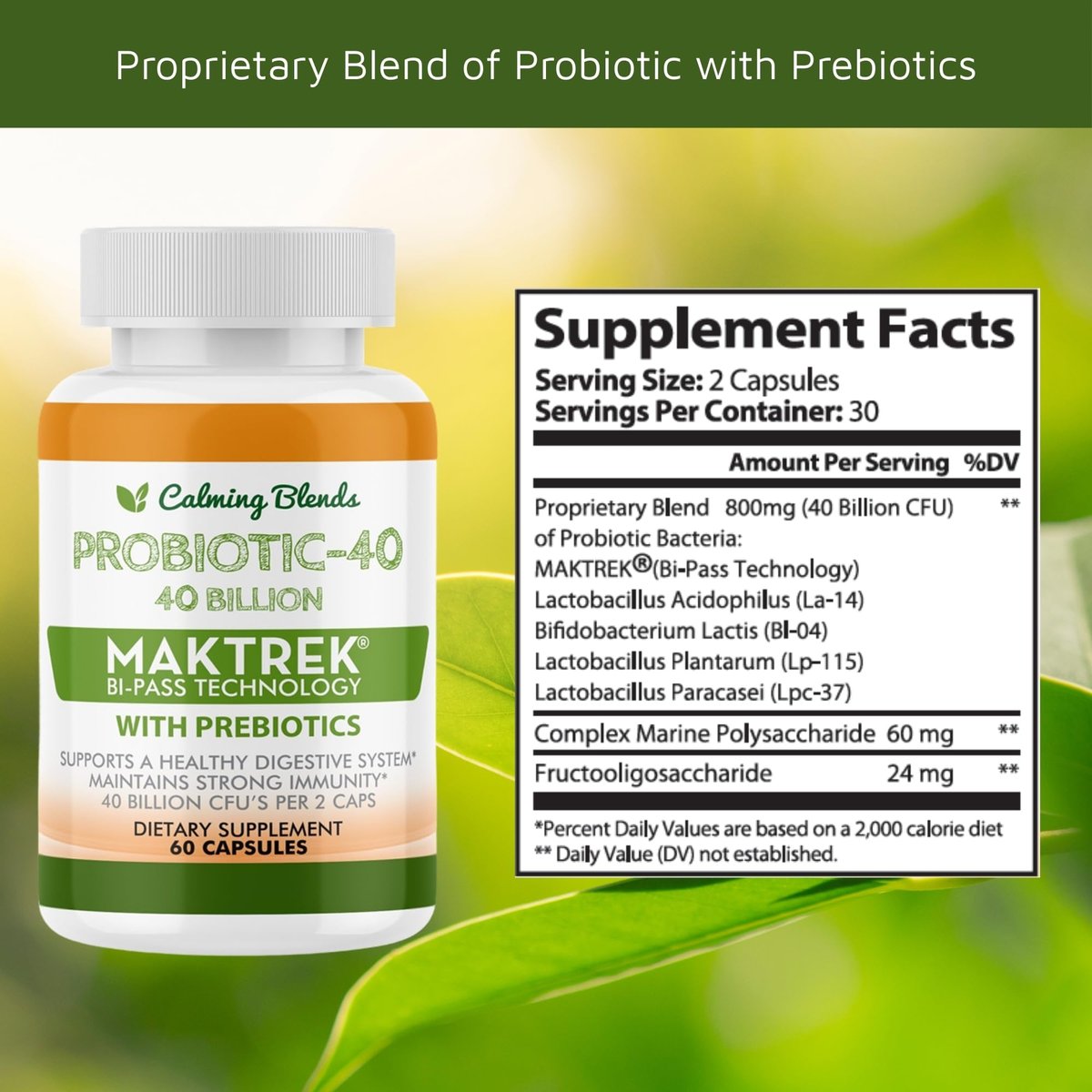 CALMING BLENDS Probiotikum, 40 Milliarden KBE, Bi-Pass-System für maximale Wirksamkeit, Lagerstabil, 60 pflanzliche Kapseln