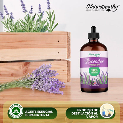 Naturopathy Lavendelöl, 100% natürliches therapeutisches Premium-Lavendelöl, 118 ml – Ideal für Aromatherapie und Entspannung