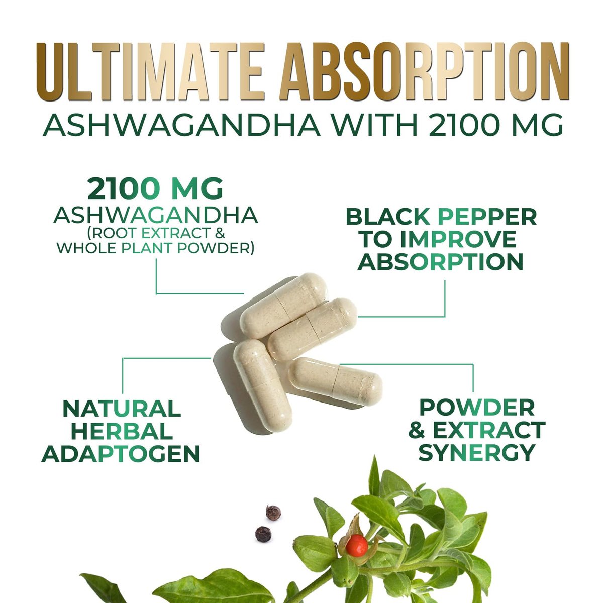 Ashwagandha Kapseln – Hochwertiges Ashwagandha für Frauen & Männer, natürliche Antioxidantien, Extra Stärke mit schwarzem Pfeffer, vegan – 60 Kapseln