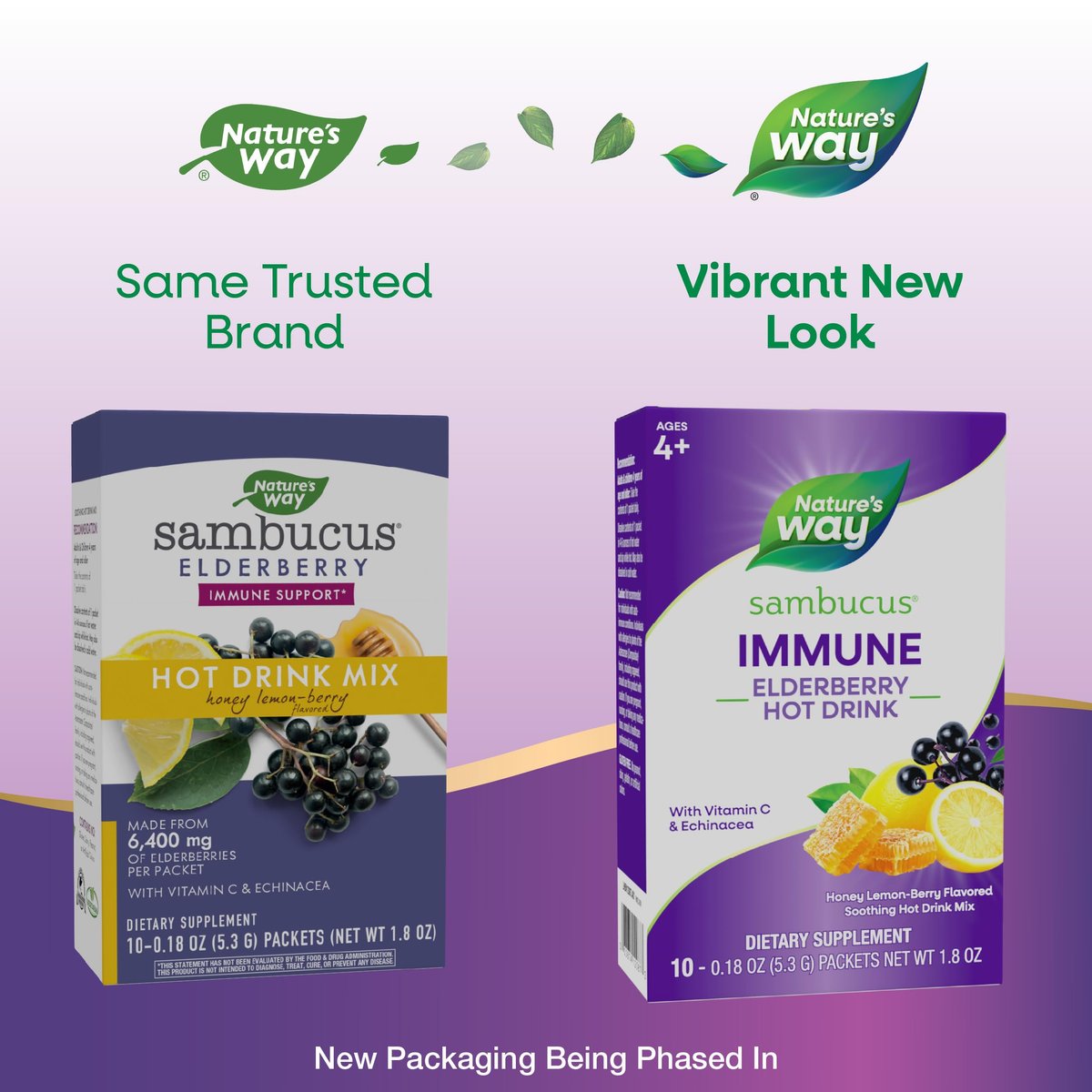 Nature's Way Sambucus Holunder Heißgetränk mit Vitamin C und Echinacea, Immununterstützung*, Honig-Zitrone-Beere-Geschmack, 10 Portionsbeutel (Verpackung kann variieren)
