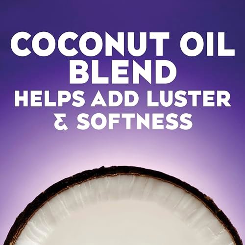 OGX Extra Strength Damage Remedy + Coconut Miracle Oil Shampoo & Conditioner für trockenes, frizziges oder grobes Haar – Feuchtigkeitsspendende & fliegende Haare bändigende Pflege – Parabenfrei, Sulfatfrei, 13 Fl Oz, 2er-Pack