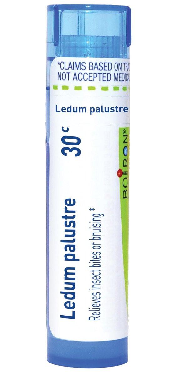 Boiron Ledum Palustre 30C Homöopathisches Mittel gegen Insektenstiche – 80 Kügelchen