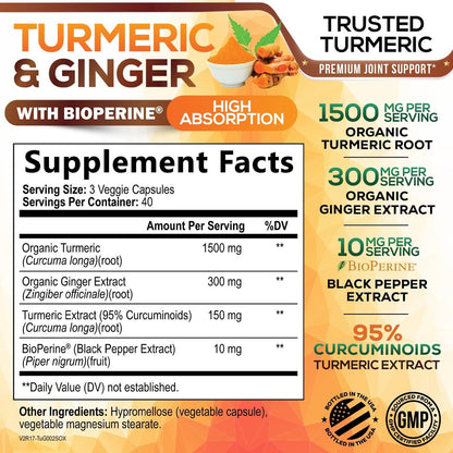Turmeric Curcumin Komplex - 95% Curcuminoiden mit Bio-Kurkuma & Ingwer, BioPerine Schwarzer Pfeffer Extrakt für beste Absorption, Natürliche vegane Gelenkunterstützung, Non-GMO, Abgefüllt in den USA - 120 Kapseln