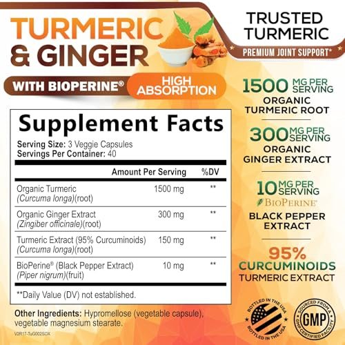 Turmeric Curcumin Komplex - 95% Curcuminoiden mit Bio-Kurkuma & Ingwer, BioPerine Schwarzer Pfeffer Extrakt für beste Absorption, Natürliche vegane Gelenkunterstützung, Non-GMO, Abgefüllt in den USA - 120 Kapseln