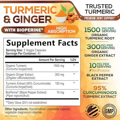 Turmeric Curcumin Komplex - 95% Curcuminoiden mit Bio-Kurkuma & Ingwer, BioPerine Schwarzer Pfeffer Extrakt für beste Absorption, Natürliche vegane Gelenkunterstützung, Non-GMO, Abgefüllt in den USA - 120 Kapseln