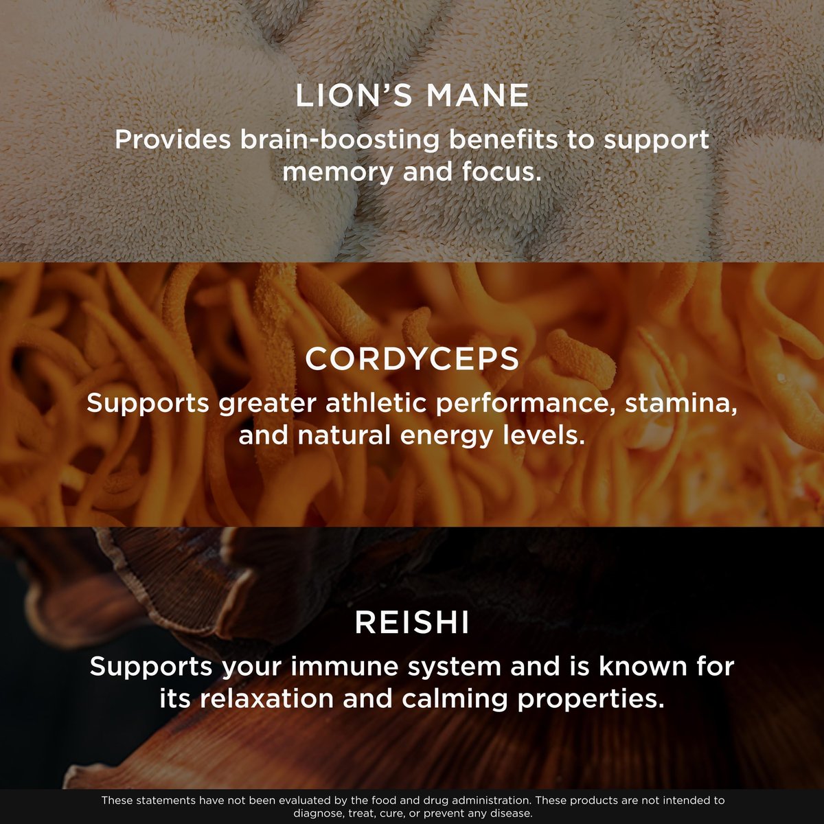 Genius Brand Genius Mushrooms – Pflanzliches Supplement für Immun-, Fokus- & Energieunterstützung – Löwenmähne, Cordyceps & Reishi – Bio & Non-GMO – 90 Veggie-Kapseln