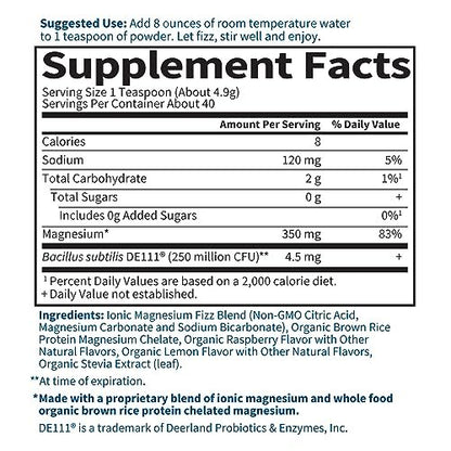 Garden of Life Dr. Formulated Whole Food Magnesium Pulver mit Probiotika – Stress- und Schlafunterstützung, Nicht-GVO, Glutenfrei, Vegan, Himbeer-Zitronen-Geschmack, 40 Portionen