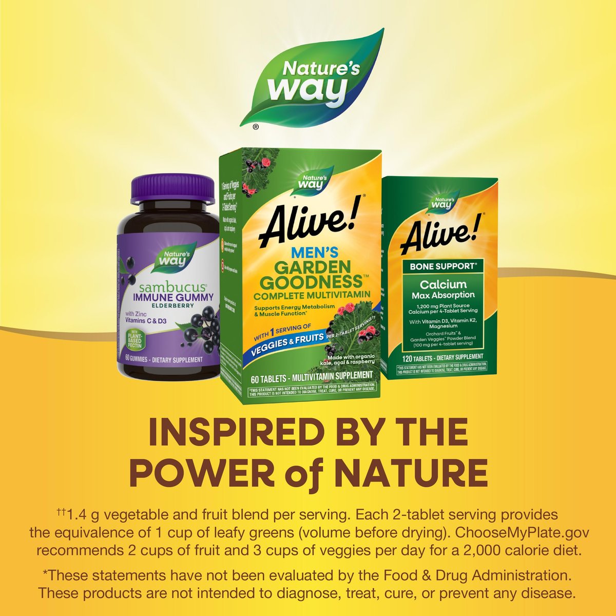 Nature's Way Alive! Garden Goodness Männermultivitamin – Eine Portion Gemüse und Früchte, hochwirksame B-Vitamine, 60 Tabletten
