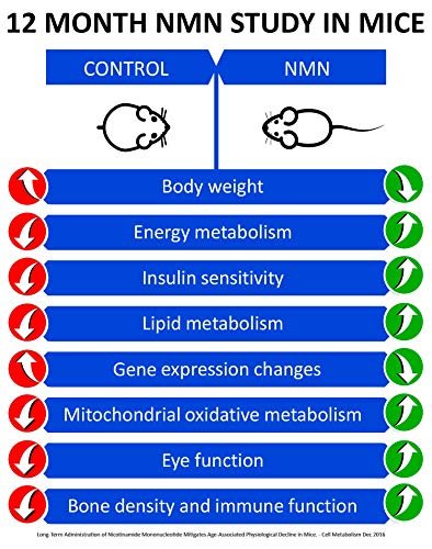 MAAC10 NMN Supplement – Reines Nicotinamid-Mononukleotid (NMN 125 mg Kapseln). Der stärkste NAD+-Vorläufer, stabiler als Ribosid. Pharmazeutische Qualität, 99 % rein, 30 Kapseln