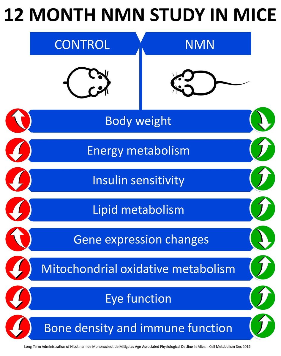 MAAC10 NMN Supplement – Reines Nicotinamid-Mononukleotid (NMN 125 mg Kapseln). Der stärkste NAD+-Vorläufer, stabiler als Ribosid. Pharmazeutische Qualität, 99 % rein, 30 Kapseln