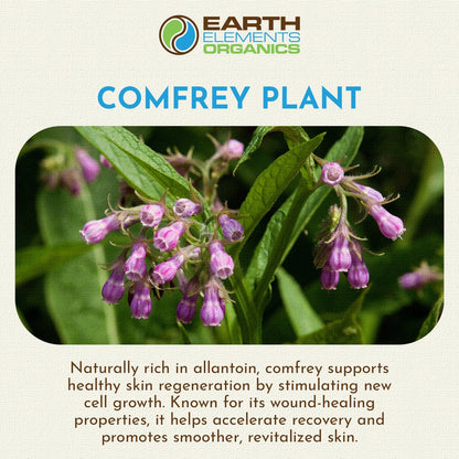Earth Elements Organics Comfrey Body Oil – Rohes, Kräuterinfundiertes Pflegeöl, Biologische Hautpflege, Ungeduftet, Für Alle Hauttypen – 30 ml