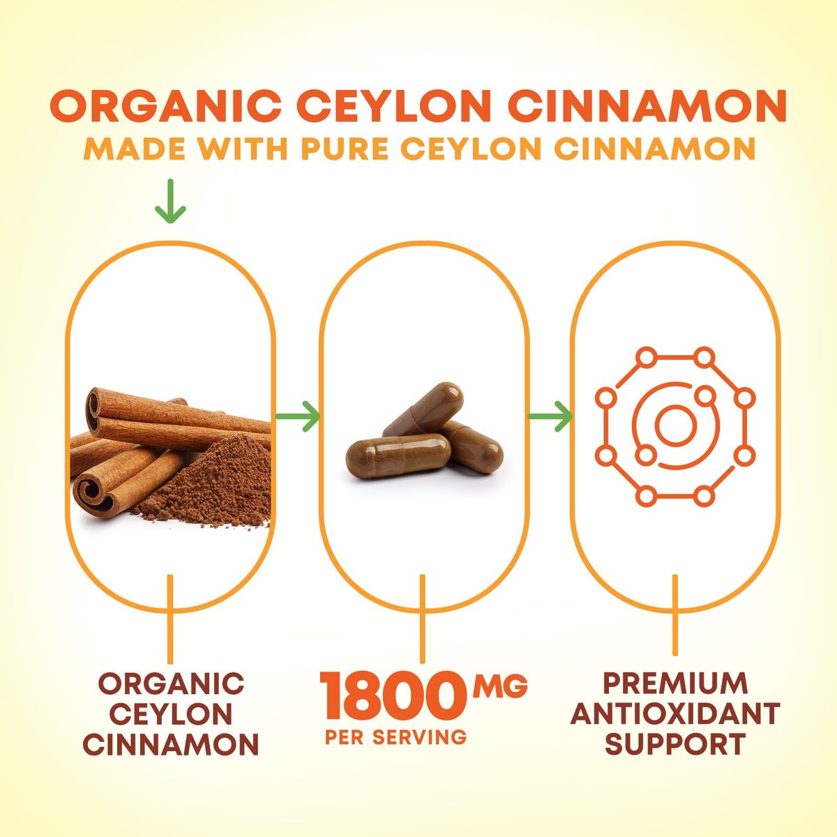 Bio Ceylon Zimt Kapseln – Extra Stärke, 1800 mg pro Portion, 120 Kapseln – Energie- und Herzunterstützung, Antioxidans für Frauen und Männer – Hergestellt in den USA