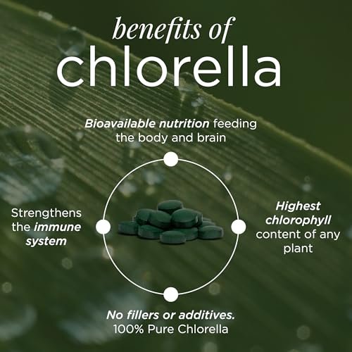 RECOVERYbits Bio-Chlorella Algen Tabletten – Superfood, reine Grünalge, hoher Protein- und Ballaststoffgehalt, Chlorophyll, aufgebrochene Zellwände, nicht bestrahlt, zur Stärkung des Immunsystems und Entgiftung, 60 Tabletten