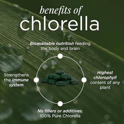 RECOVERYbits Bio-Chlorella Algen Tabletten – Superfood, reine Grünalge, hoher Protein- und Ballaststoffgehalt, Chlorophyll, aufgebrochene Zellwände, nicht bestrahlt, zur Stärkung des Immunsystems und Entgiftung, 60 Tabletten