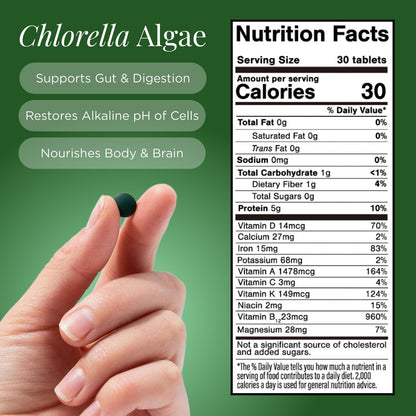 RECOVERYbits Bio-Chlorella Algen Tabletten – Superfood, reine Grünalge, hoher Protein- und Ballaststoffgehalt, Chlorophyll, aufgebrochene Zellwände, nicht bestrahlt, zur Stärkung des Immunsystems und Entgiftung, 60 Tabletten