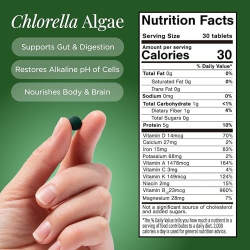 RECOVERYbits Bio-Chlorella Algen Tabletten – Superfood, reine Grünalge, hoher Protein- und Ballaststoffgehalt, Chlorophyll, aufgebrochene Zellwände, nicht bestrahlt, zur Stärkung des Immunsystems und Entgiftung, 60 Tabletten