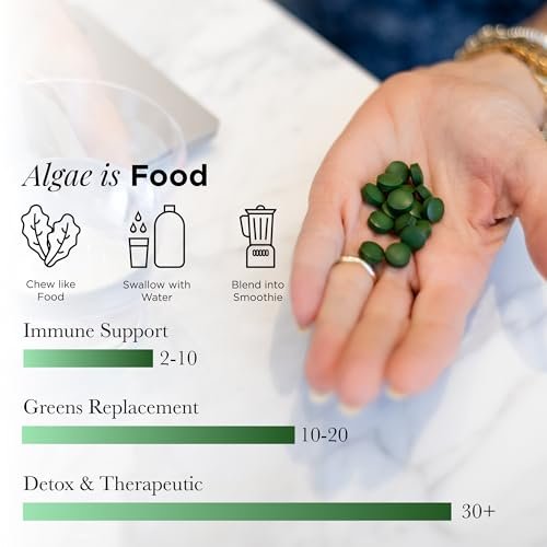 RECOVERYbits Bio-Chlorella Algen Tabletten – Superfood, reine Grünalge, hoher Protein- und Ballaststoffgehalt, Chlorophyll, aufgebrochene Zellwände, nicht bestrahlt, zur Stärkung des Immunsystems und Entgiftung, 60 Tabletten