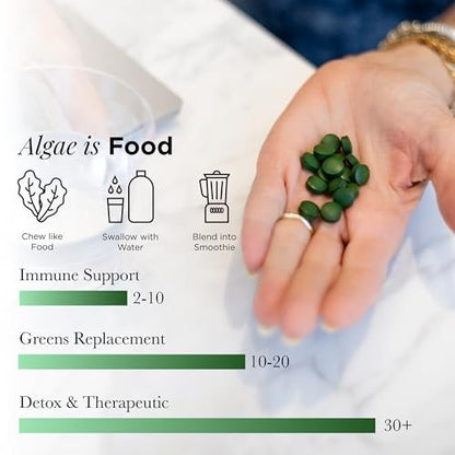 RECOVERYbits Bio-Chlorella Algen Tabletten – Superfood, reine Grünalge, hoher Protein- und Ballaststoffgehalt, Chlorophyll, aufgebrochene Zellwände, nicht bestrahlt, zur Stärkung des Immunsystems und Entgiftung, 60 Tabletten