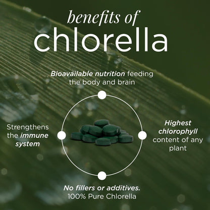 RECOVERYbits Bio-Chlorella Algen Tabletten – Superfood, reine Grünalge, hoher Protein- und Ballaststoffgehalt, Chlorophyll, aufgebrochene Zellwände, nicht bestrahlt, zur Stärkung des Immunsystems und Entgiftung, 60 Tabletten