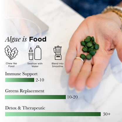 RECOVERYbits Bio-Chlorella Algen Tabletten – Superfood, reine Grünalge, hoher Protein- und Ballaststoffgehalt, Chlorophyll, aufgebrochene Zellwände, nicht bestrahlt, zur Stärkung des Immunsystems und Entgiftung, 60 Tabletten