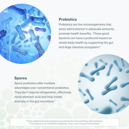Youtheory Spore Probiotikum – 6 Milliarden KBE mit Präbiotika für die Darmgesundheit, unterstützt regelmäßigen Stuhlgang und Durchfall-Linderung* – Haltbar bei Raumtemperatur – 60 vegane Kapseln (30-Tage-Versorgung)