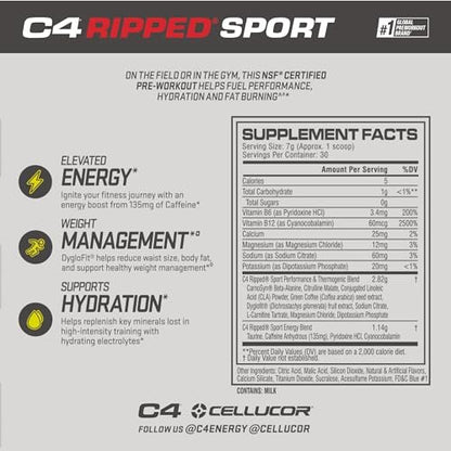 C4 Ripped Sport Pre Workout Pulver Arctic Snow Cone - Zuckerfreies Pre-Workout für Männer & Frauen mit Koffein & Gewichtsverlust - 30 Portionen