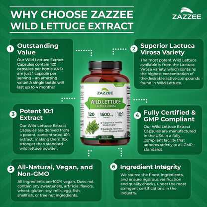 Zazzee Extra Starkes Wild Lettuce 10:1 Extrakt, 120 Vegane Kapseln, 4 Monate Vorrat, Lactuca Virosa, Entspannung, Ruhe & Stimmungsunterstützung, Konzentrierter 10X Extrakt, 100% Vegetarisch, Nicht-GVO, Hergestellt in den USA