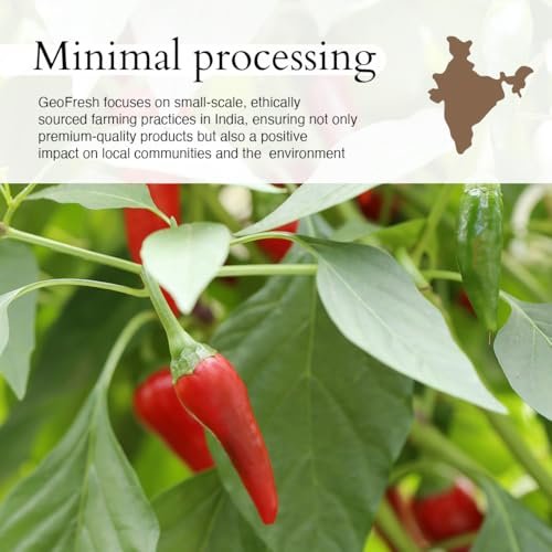 Geo-Fresh Bio Cayennepulver, 1,76 oz (50 g) – Scharfes & Aromatisches Bio Cayenne-Chilipulver – Reines gemahlenes rotes Pfefferpulver – USDA Bio-zertifiziert – Nicht-GVO – Koscher – Glutenfrei – Produkt aus Indien