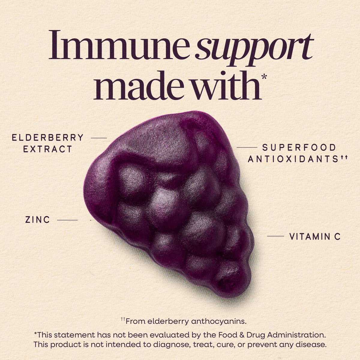 Nature's Way Sambucus Kids Holunderbeeren Immun-Gummis – Tägliche Immununterstützung mit Holunderbeerenextrakt, Vitamin C und Zink für Kinder ab 2 Jahren*, 60 Gummis
