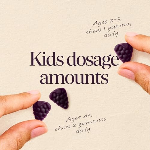 Nature's Way Sambucus Kids Holunderbeeren Immun-Gummis – Tägliche Immununterstützung mit Holunderbeerenextrakt, Vitamin C und Zink für Kinder ab 2 Jahren*, 60 Gummis