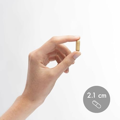 Dr. Mercola Gallenblasen-Enzyme – Unterstützung für Gallenblase & Verdauung – mit Pankreasprotease, Amylase & Lipase – Non-GMO, glutenfrei & sojafrei – 30 Kapseln mit verzögerter Freisetzung (30 Portionen)