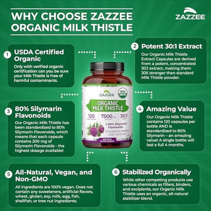 Zazzee Bio-Mariendistel 30:1 Extrakt, 80% Silymarin, 120 vegane Kapseln, 4-Monats-Vorrat, zertifiziert koscher, hochwirksame Leber- & Antioxidans-Unterstützung, Silybum Marianum, Non-GMO, hergestellt in den USA