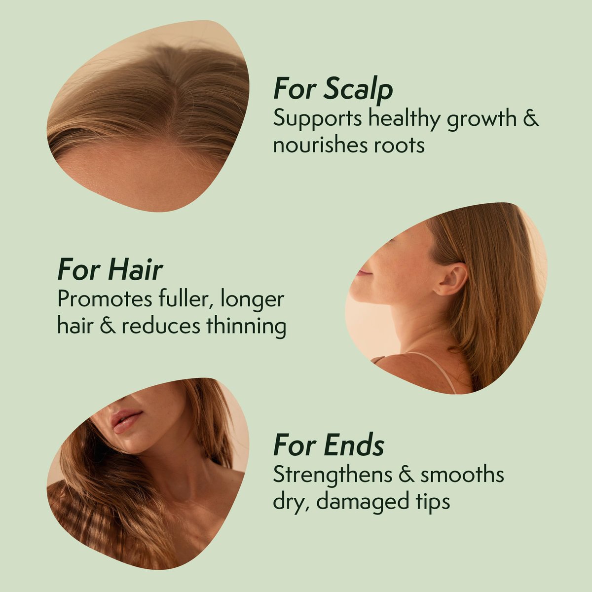 Nature Spell Rosmarinöl für Haarwachstum, vorverdünntes Haar- und Kopfhautöl pflegt trockenes, geschädigtes Haar, für Frauen und Männer, 150 ml