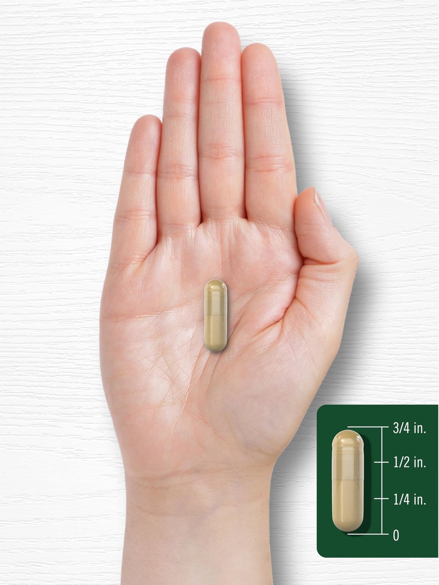 Carlyle Bacopa Monnieri Kapseln | 180 Kapseln | Glutenfrei