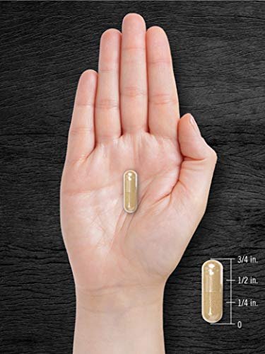 Carlyle Pygeum Supplement | 240 Kapseln | Nicht-GVO, Glutenfrei | Afrikanischer Pflaumenrinden-Extrakt
