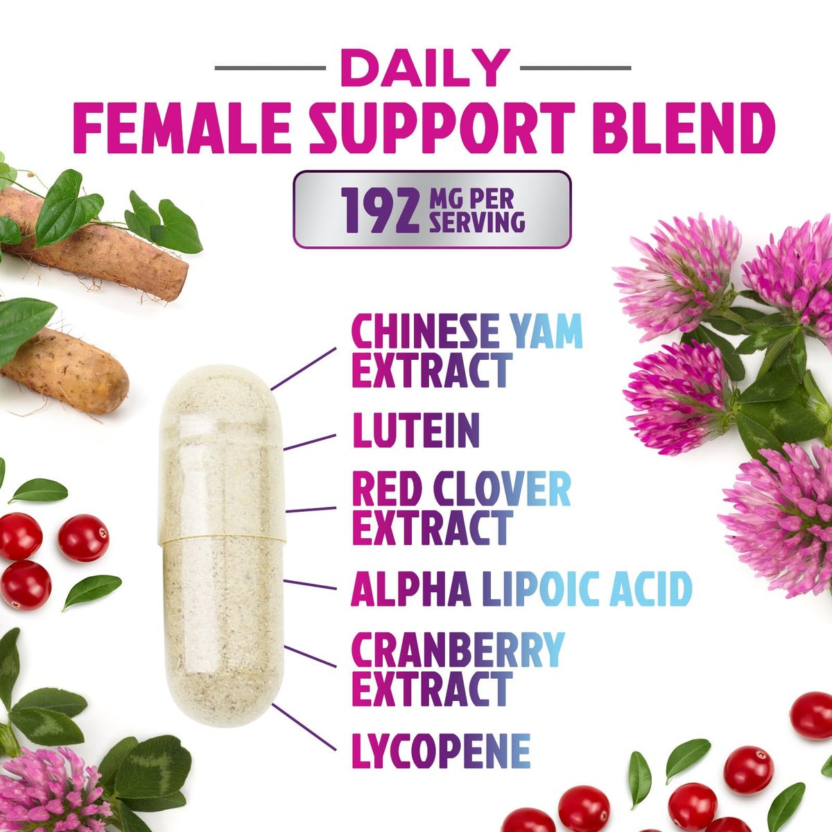 Multivitamin für Frauen – Komplettes Multi-Vitamin mit Vitamin A, C, D, E, B6, B12, Zink, Calcium & Magnesium, tägliches Multimineral für Haar, Haut und Nägel – 120 Kapseln