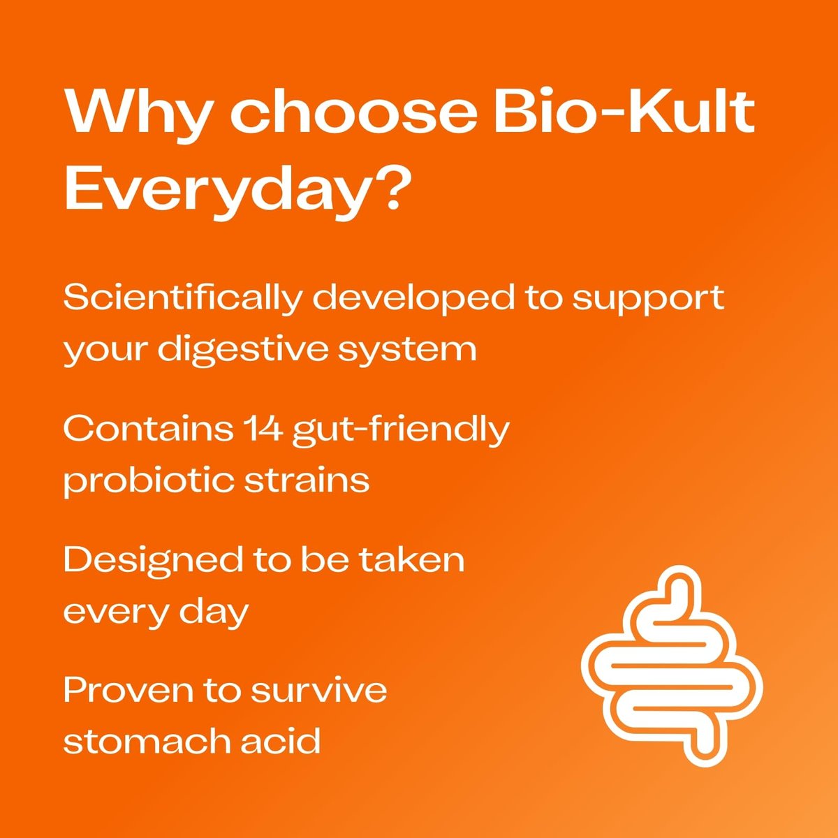 Bio-Kult Darmgesundheit Probiotikum – 14 Bakterienstämme, Probiotika für Frauen & Männer, Immununterstützung, Verdauungsgesundheit, haltbar, nicht-GVO & glutenfrei, Kapseln, 30 Stück (1er-Pack)