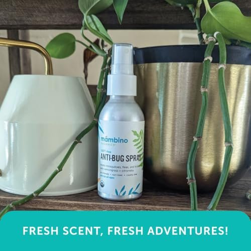 Mambino Organics Anti-Bug Spray – DEET-freier, organischer Mückenschutz mit ätherischen Ölen, riffsicher, gesichtssicherer Schutz für Babys, Kinder und Erwachsene, 80 ml