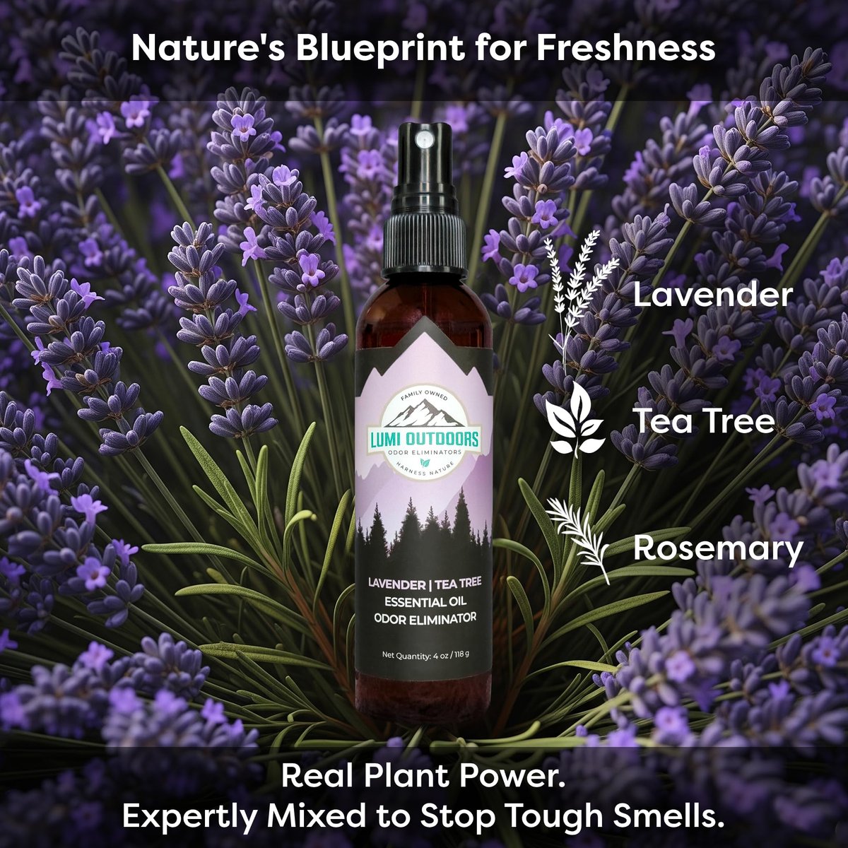 Lumi Outdoors Natürlicher Schuh-Deo-Spray & Geruchsentferner - Lavendel Teebaumöl Ätherisches Öl Geruchsfresser