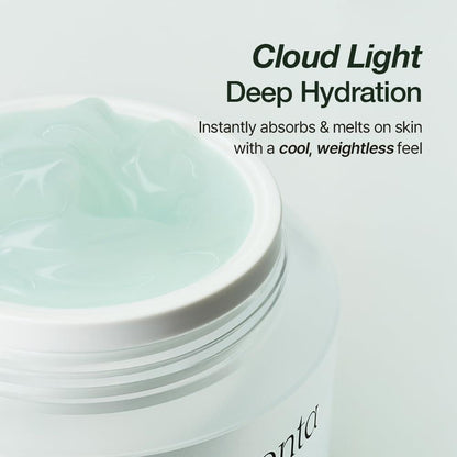 NATURAL DERMA PROJECT NDP Cica Cream - Gel-Gesichtsfeuchtigkeitscreme gegen Sonnenbrand, leichte koreanische Feuchtigkeitscreme für empfindliche Haut, Centella Asiatica, feuchtigkeitsspendend, beruhigend, lindernd (1,7 Fl Oz / 50 ml)