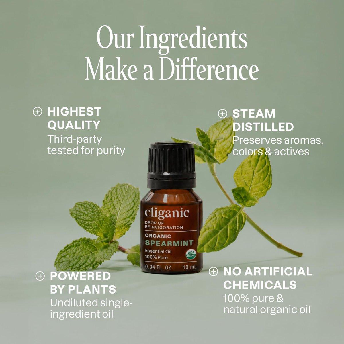 Cliganic USDA Bio-Spearmintöl, 100% reines natürliches unverdünntes ätherisches Öl für Aromatherapie (10 ml) | Nicht-GVO-verifiziert