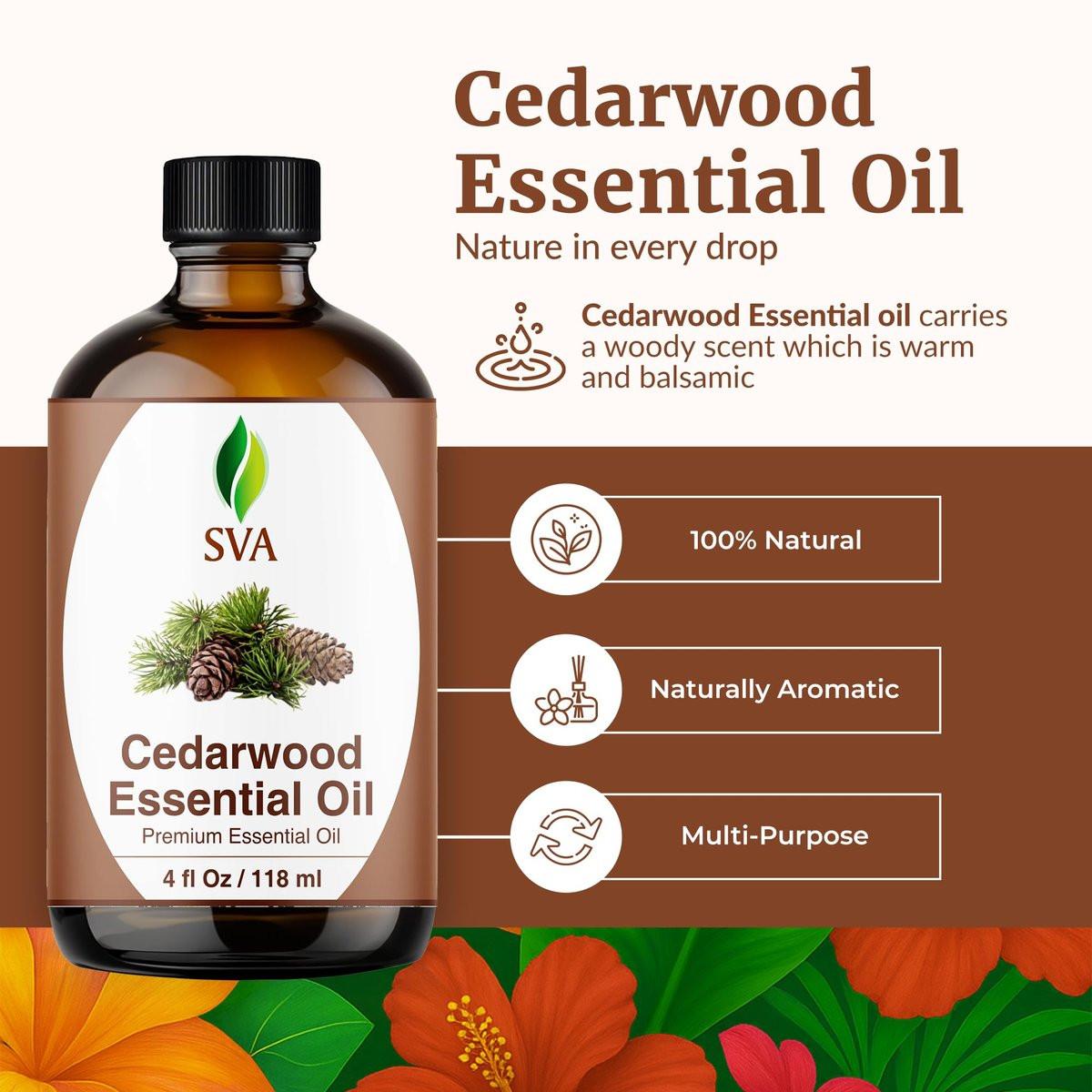SVA Zedernholz Ätherisches Öl – 118 ml – 100 % natürliches Zedernholz Cupressus Funebris Öl – für Diffuser, Haarpflege, Gesicht, Hautpflege, Aromatherapie, Kopfhaut- und Körpermassage, Seife und Kerzen – mit Pipette